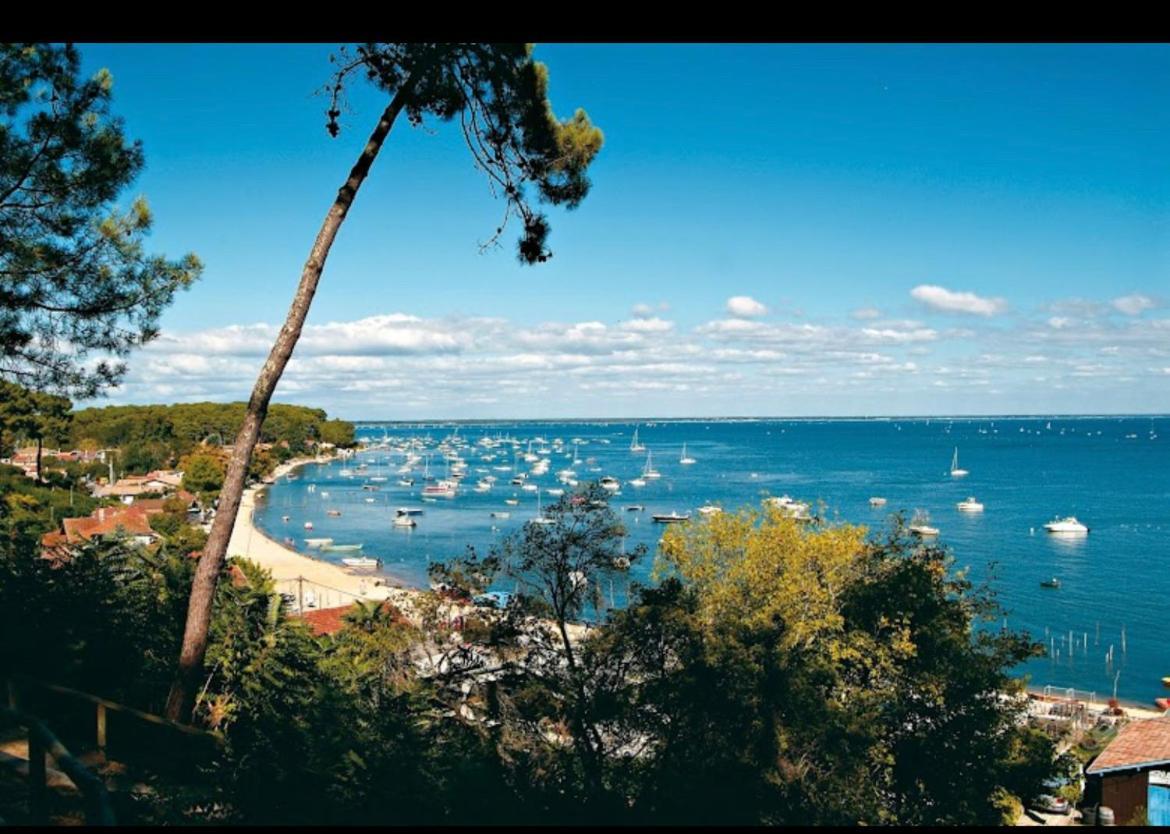 Tiny House Famille Nature Cap Ferret Claouey Dış mekan fotoğraf